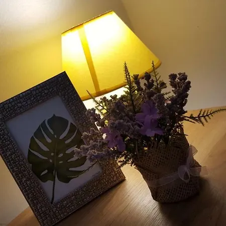Tereza Guest house